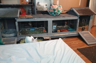 Does this look like an okay set up?