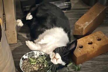 Probably shouldn’t let him drive home, right?