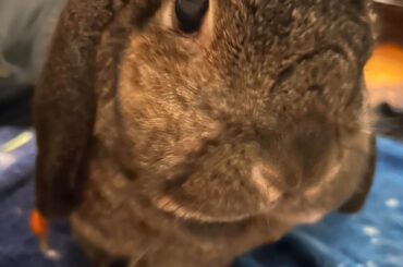 Gone but not forgotten