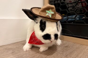 mutiny won pet of the month!