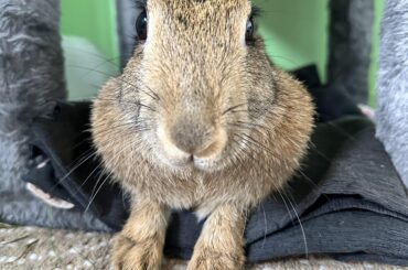 Can I come over and stare at you like this