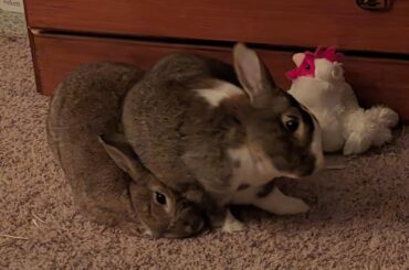 He LOVES being under her!