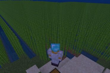 How many bunnies would it take to eat this?