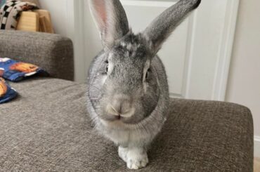 A few shots of the big guy