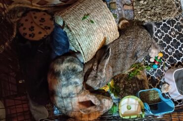 I'm near tears right now