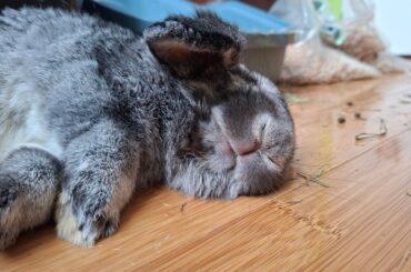 Butt matting solutions?