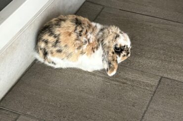 Just found out my boy is underweight