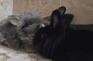 Day 2 of trio bonding!!