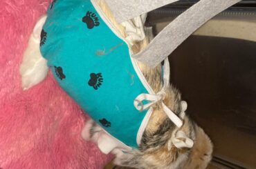 Mikeys stiches broke