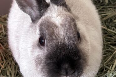 grandmas bun has a heart on her head