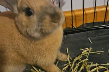 This criminal committing vandalism