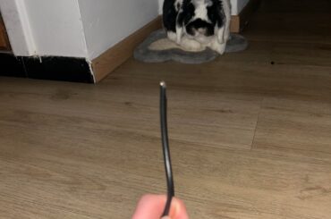 Stop acting like u don't know what you did buddy...