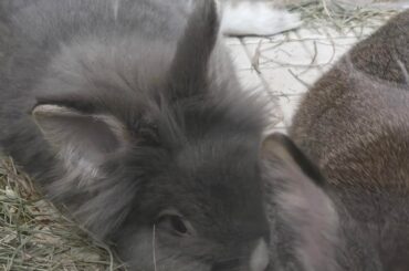 Back with the trio bonding