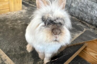 Newest addition to the fam: Cooper