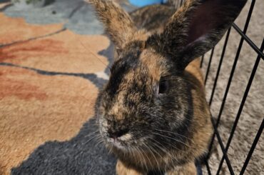 My dude is so photogenic