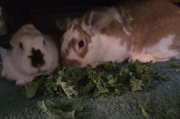 Dating in 2026 is hard!