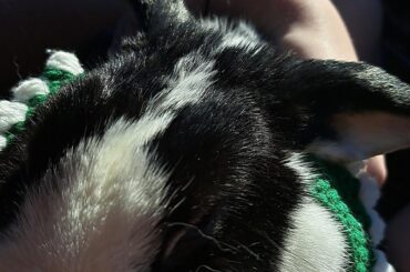 The little princess <3