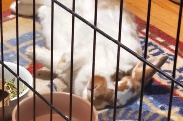 Miss you my baby boy