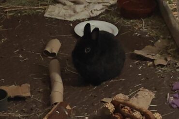 I got home late and missed her dinner time