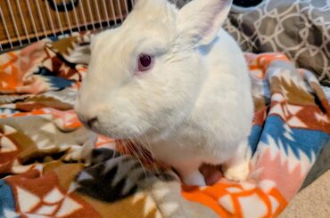 What's a cold snowy day compared to a warm bed