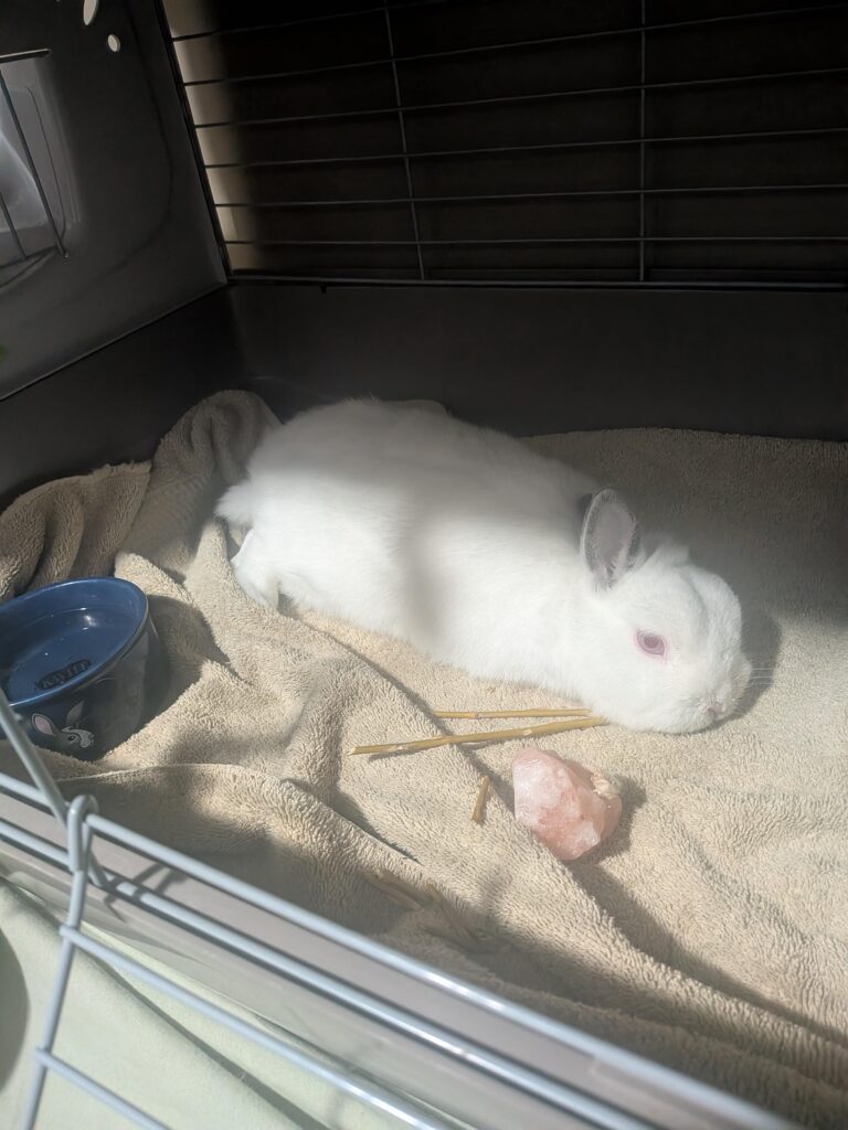 I need hope. Terrified it’s snuffles.