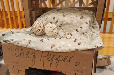 Made a house for my bunny!