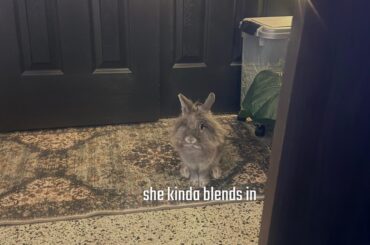 Any interesting stories?