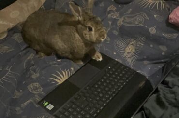 she’s a girl in STEM 😌