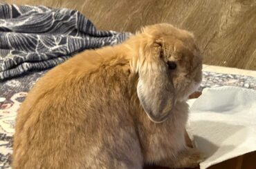 He’s very demanding