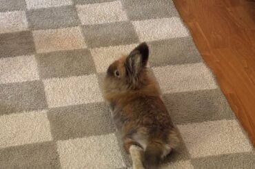 She decided to show me her little foot today