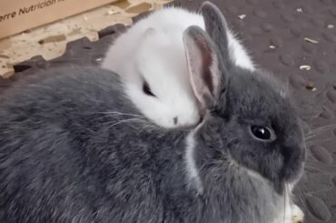 Sisters one month apart