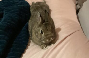 Multiple angles bc I’m in aw at this sploot 🤣