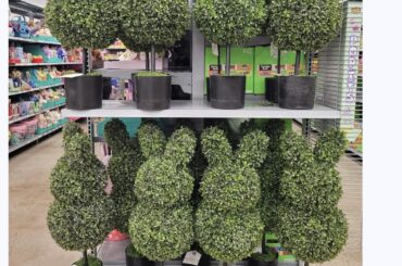 My sweet bf showed me the latest in bun decor. Oh my bun!<3