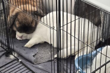 Warning this will make you cry