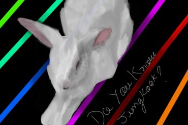 A tribute to my stubborn and playful bunny. Too bad he can't appreciate it because he doesn't know what it means 🥺 but I love him