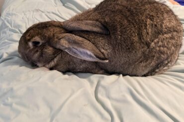 My relaxed boy.