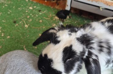 Shame him he dissappeared for 4 hours scaring mommy and giving them a panic attack and mental breakdown.