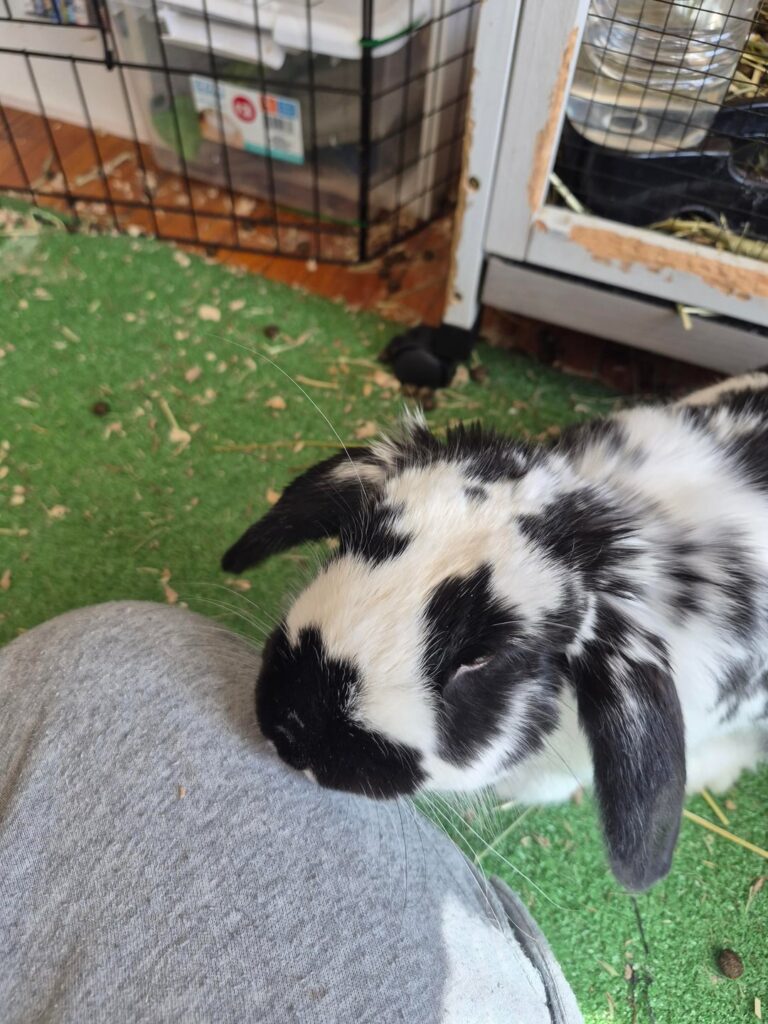 Shame him he dissappeared for 4 hours scaring mommy and giving them a panic attack and mental breakdown.