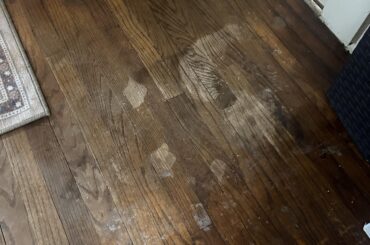 Stubborn pee stains in hardwood floor?