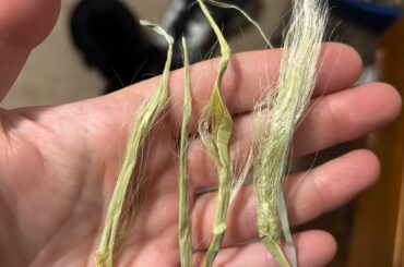 What is this, and how worried should I be?