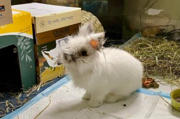 Happy 10th birthday sweet Ella