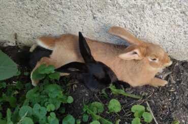 Jesus, give him space...