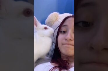 Hungry Rabbit VS. Girl's Hair! #Shorts