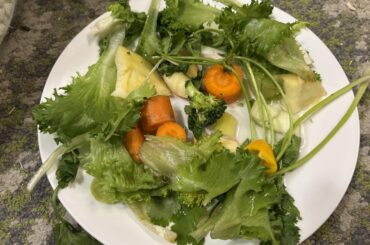 Is this a good amount of daily fresh greens/veggies/fruit for my bunny?