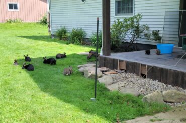 The void swarm doth multiply.