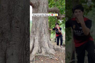 New Born cutie cutie rabbit babies || rabbits Baby in forest || pretty cutie rabbits || cute rabbit