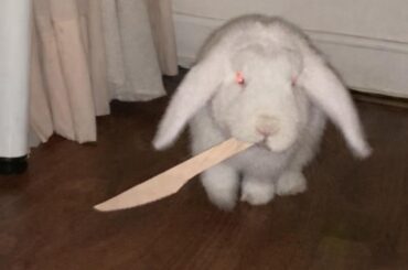 He’s a menace 😈