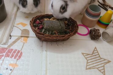 They're 1!