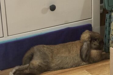 The way she crosses her peets! 🥰