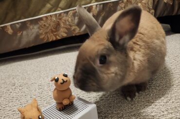 ‘Is this supposed to be me?’